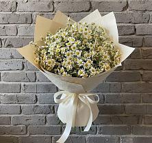 Букет цветов из:  Ромашки в Хохлово