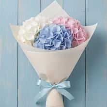 Букет цветов из:  Гортензия в Хохлово