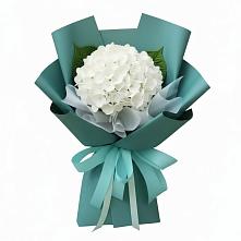 Букет цветов из:  Гортензия в Хохлово